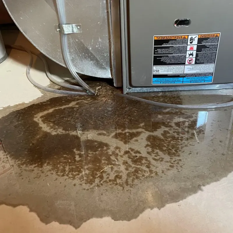 Pipe Burst and Leak Restoration in Chaparral, NM