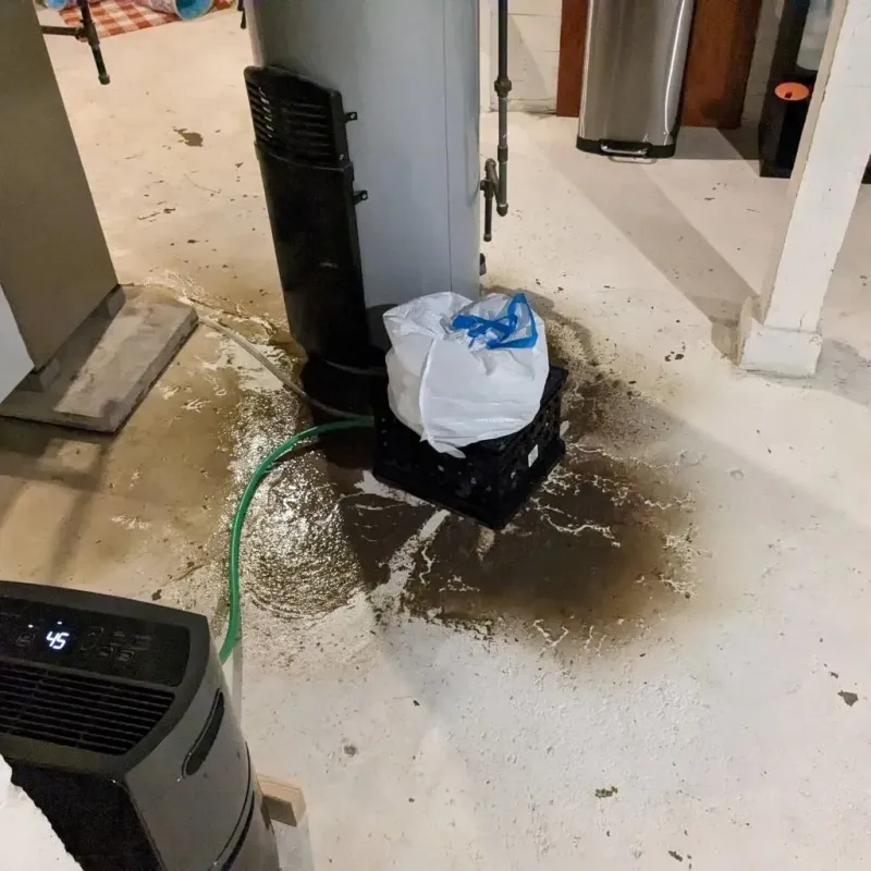 Sewage Backup Cleanup Service in Chaparral, NM